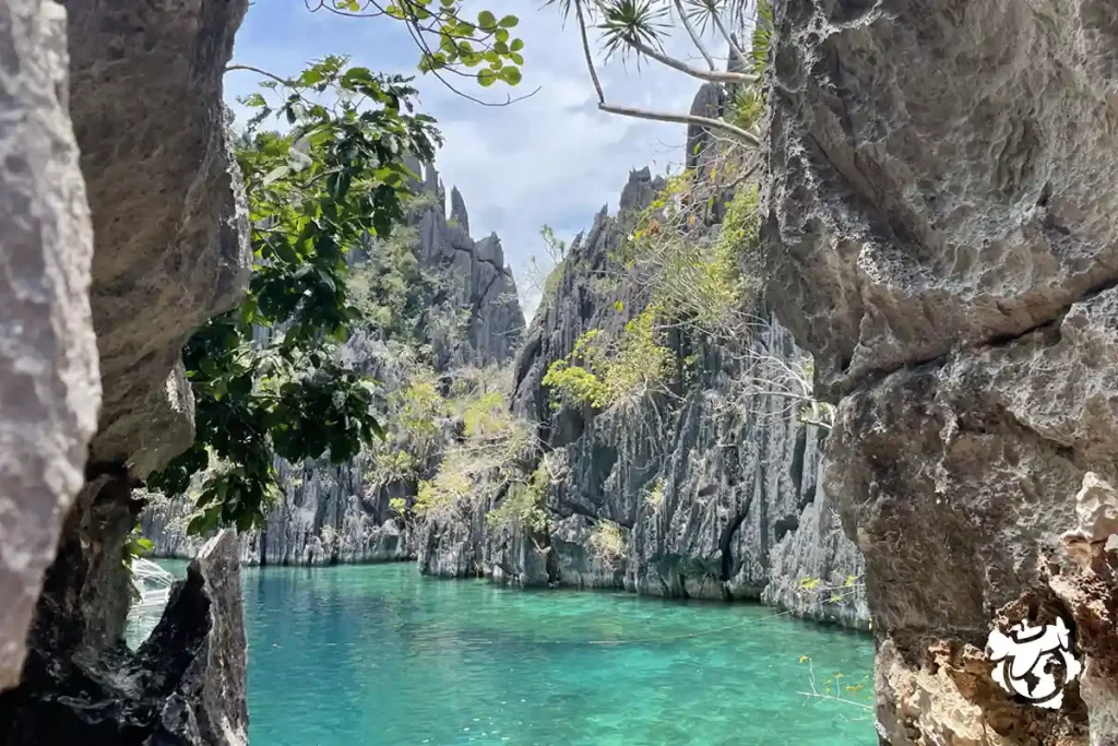 Twin Lagoon, Coron