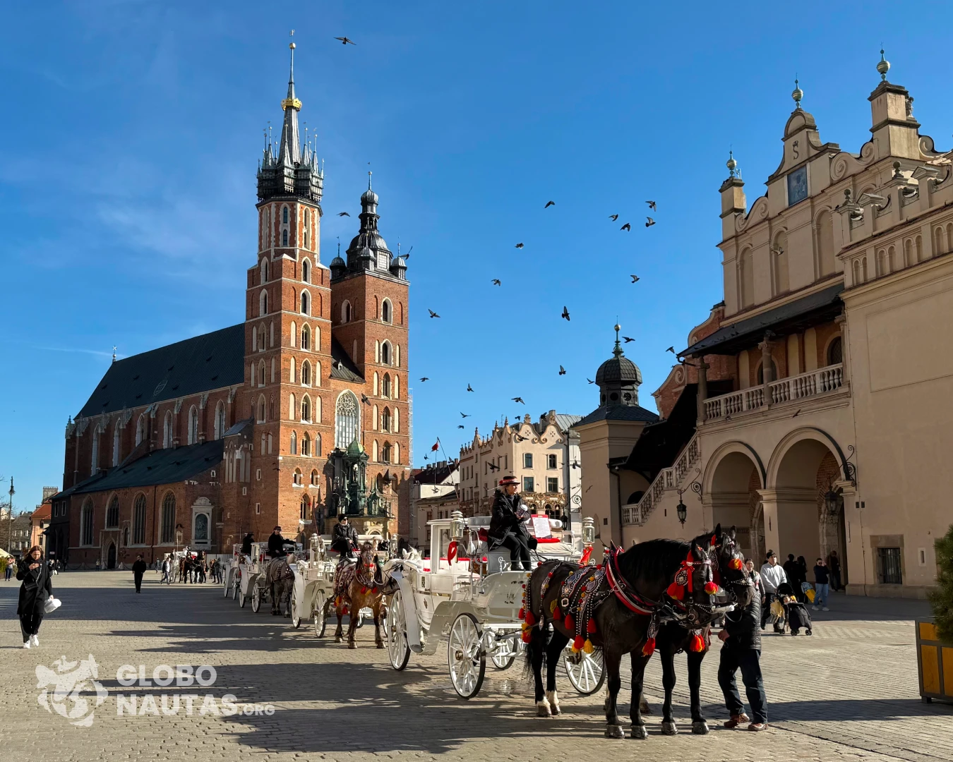 Plaza Mayor de Cracovia, Basílica de Santa María