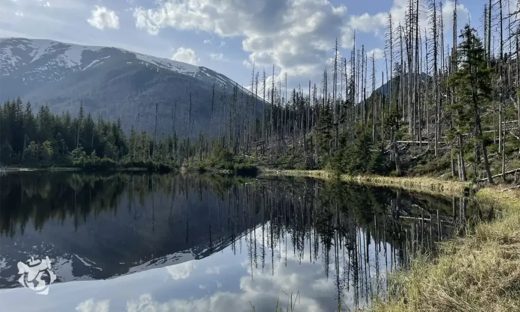 Lake Smreczynski, one of the most beautiful places in Zakopane.