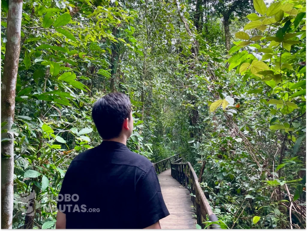 Trail inside Manuel Antonio National Park in Costa Rica